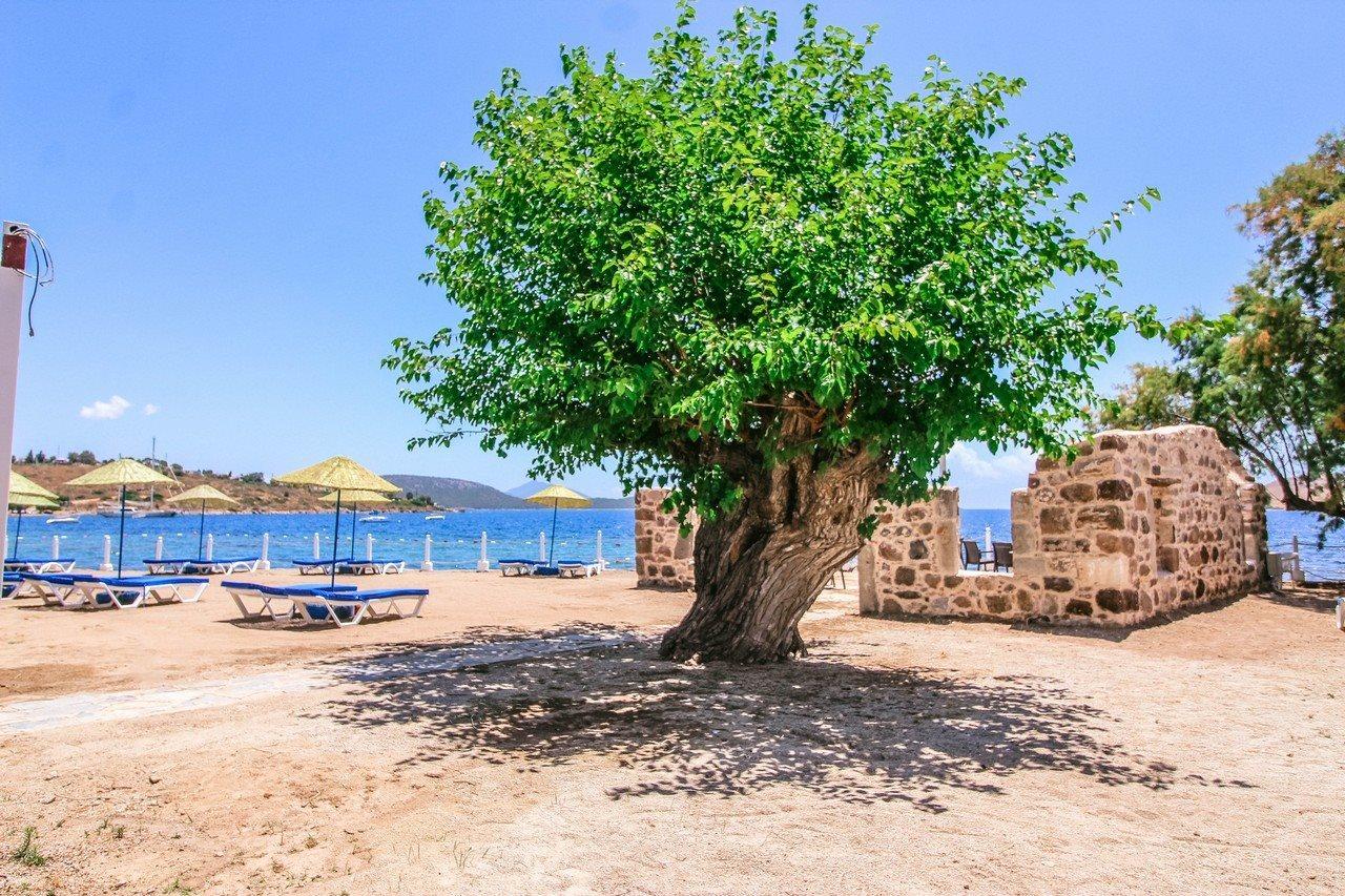 Club Muskebi Hotel Bodrum Екстериор снимка